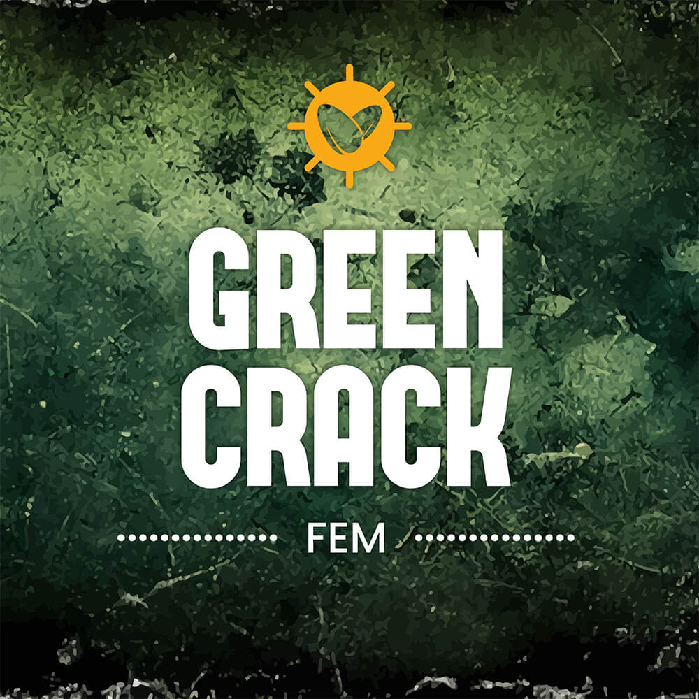 Green Crack Fem