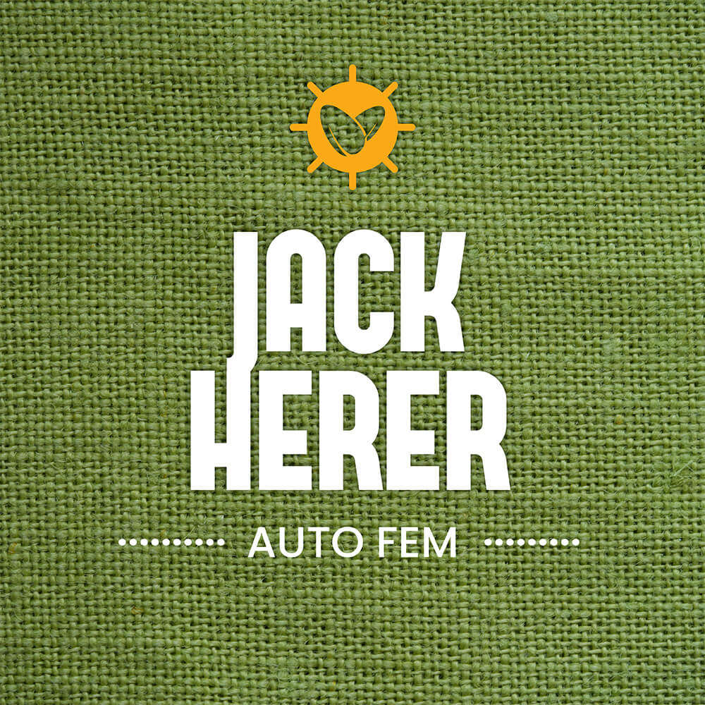 Jack Herer Auto Fem