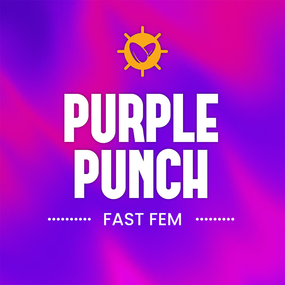 Purple Punch Fast Fem