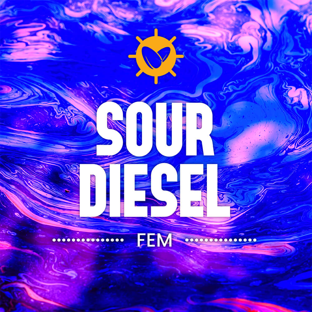 Sour Diesel Fem