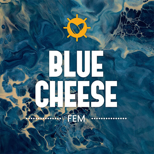 Blue Cheese Fem