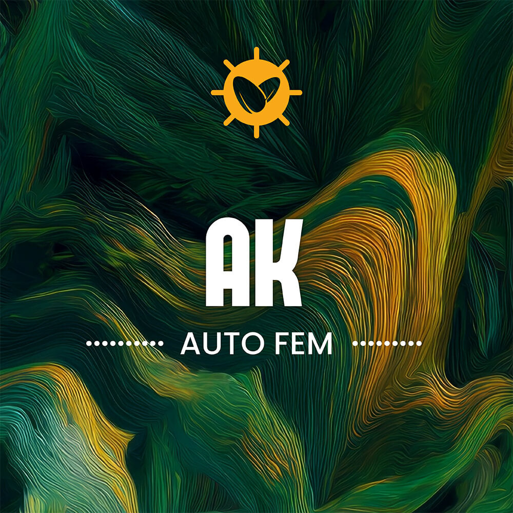 AK Auto Fem