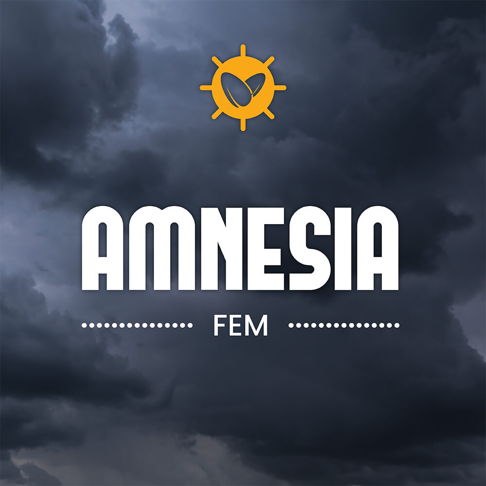 Amnesia Fem