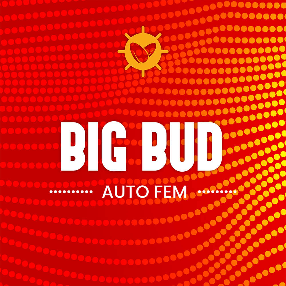 Big Bud Auto Fem