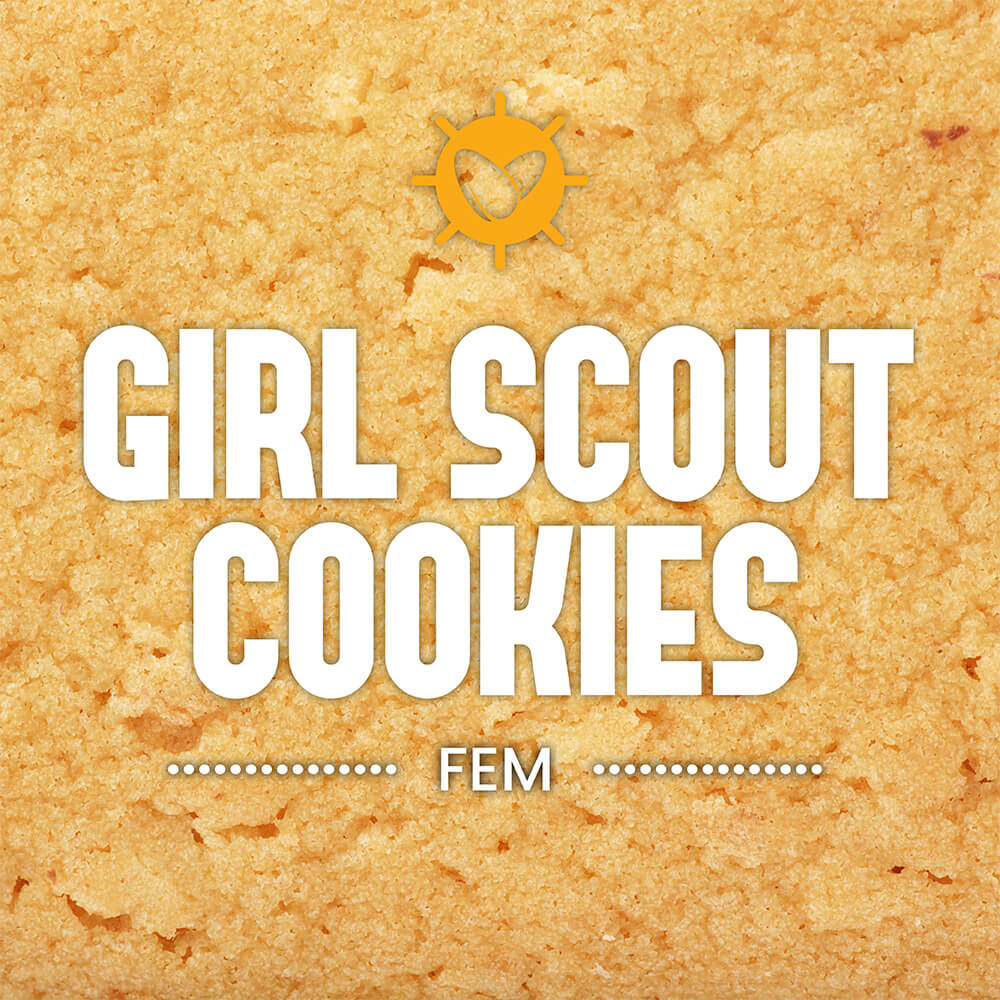 Girl Scout Cookies Fem