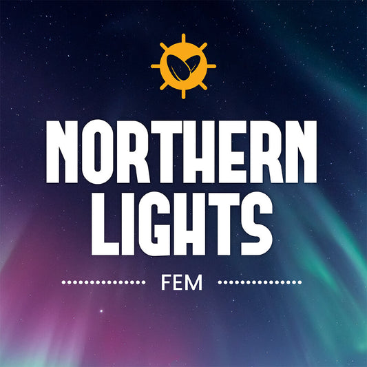 Northern Lights Fem