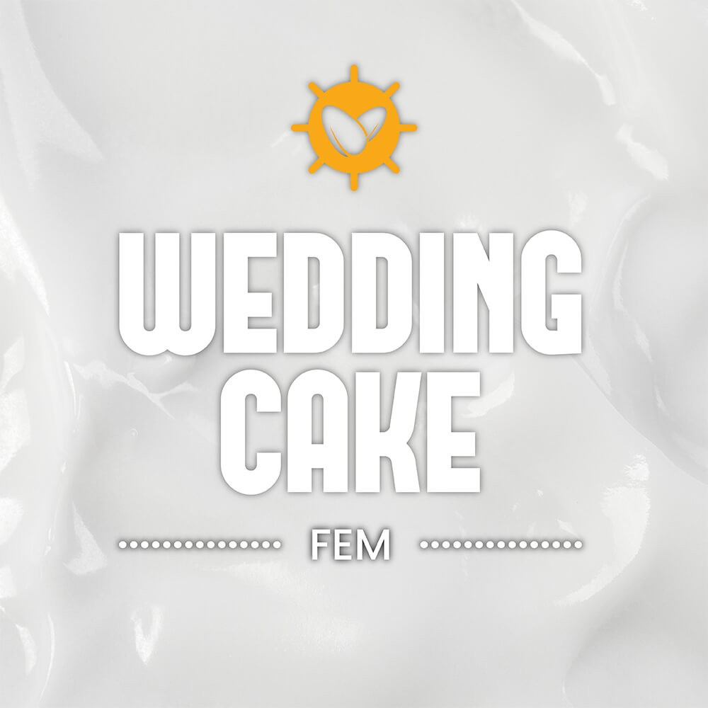 Wedding Cake Fem