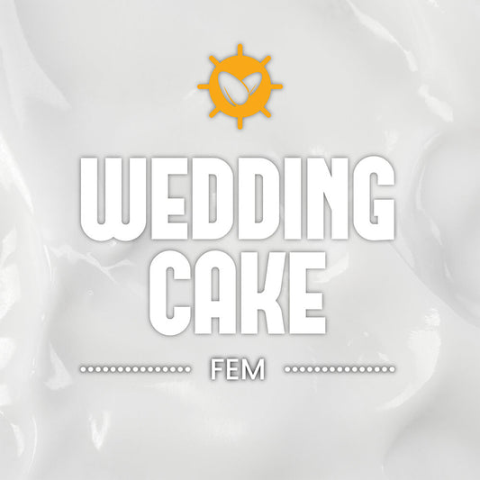 Wedding Cake Fem