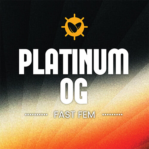 Platinum OG Fast Fem
